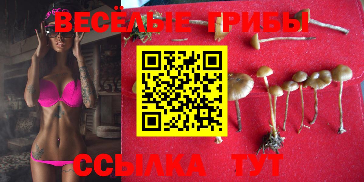 Псилоцибиновые грибы прущие грибы Верхняя Салда